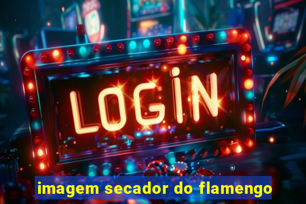 imagem secador do flamengo